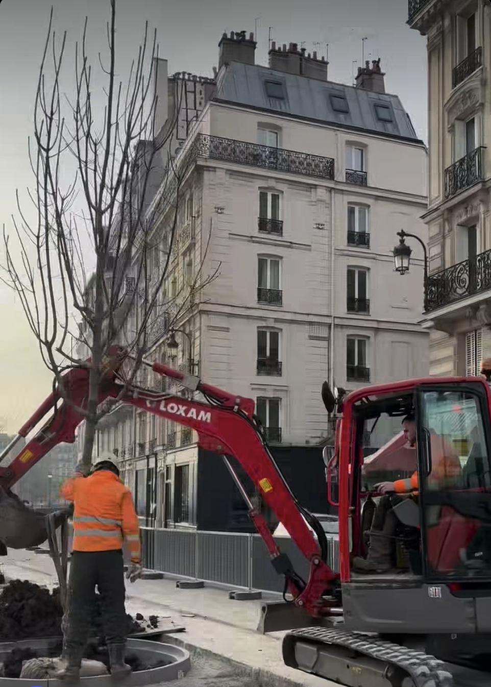 Le quai aux fleurs, sur l'île de la cité à Paris, près du Son de la Terre